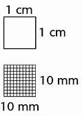 Image result for 1 Square Centimeter