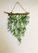 Image result for How to Hang Vines