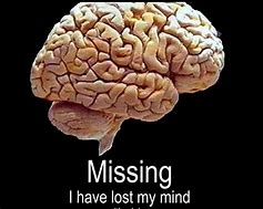 Image result for Missing Brain Meme