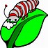 Image result for Caterpillar Bug Cartoon