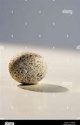 Image result for One Singular Small Pebble