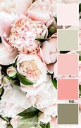 Image result for Blush Pink Colour
