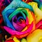 Image result for Bright Neon Rainbow Flowers