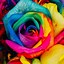 Image result for Flowers Wallpaper Rainbow Aesthetic