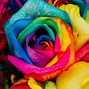 Image result for Galaxy Rainbow Flower