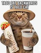 Image result for Pusheen Cat Taco