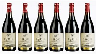 Image result for Spioenkop Pinot Noir 1900 M Gandhi