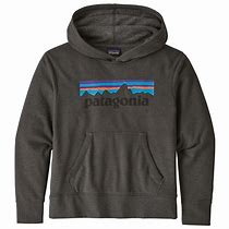 Image result for Patagonia Hoodie