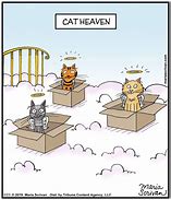 Image result for Cartoon Cat Heaven