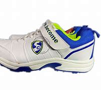 Image result for Spikes Cricket Shoes SG