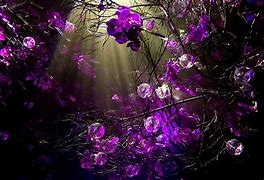 Image result for Purple Wallpaper for PC