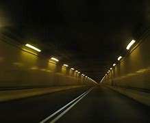 Image result for Felt Tunnel Cat