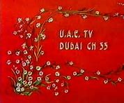 Image result for UAE TV Channels