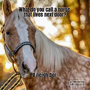 Image result for Funny Horse Jokes for Kids