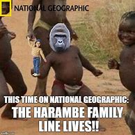 Image result for Harambe Timeline Meme