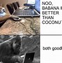 Image result for The Goririlas First Words Meme