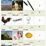 Image result for Arabic Phonetic Alphabet