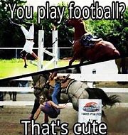 Image result for Horse Racing Jokes