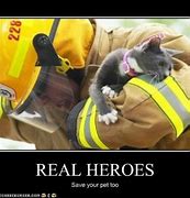 Image result for Be a Hero Funny Cat Meme