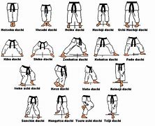 Image result for Kyokushin Karate Kata