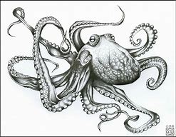 Image result for Crazy Octopus Drawing