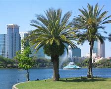 Image result for STK Orlando