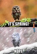 Image result for Where Is Spring Meme