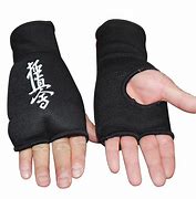 Image result for Karate Taekwondo Gloves