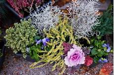 fioriere da davanzale composizioni floreali per le fioriere invernali fioriere da davanzale composizioni floreali per le fioriere invernali