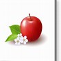 Image result for Realistic Apple Clip Art