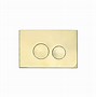 Image result for Gold Cistern Flush Button