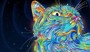Image result for Trippy Weed Cat Wallpaper