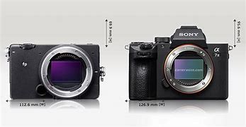 Image result for Sony RX1 vs Sigma FP