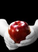 Image result for Small Apple Big Hand