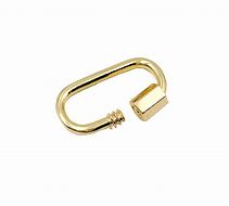 Image result for Carabiner Clasp