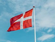 Image result for Denmark Flag WW2