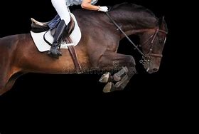 Image result for Horse Jumping Black Background