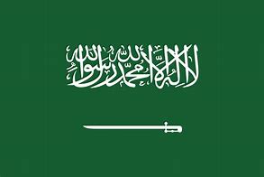 Image result for Saudi Arabia Flag Outline