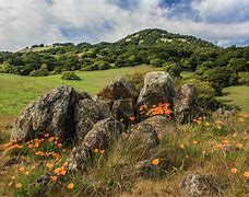 Image result for outcropping