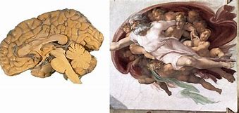 Image result for God Brain Vatican