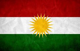 Image result for Kurdish Logo