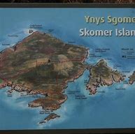 Image result for skomer island,GB