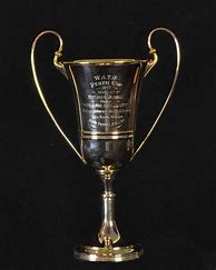 Image result for Golden Horse Trophy