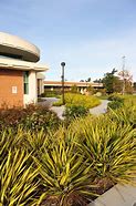 Image result for San Diego Grossmont College