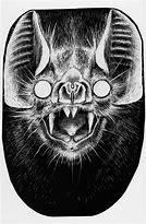 Image result for Scratch Art Bat