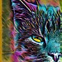 Image result for Rainbow Cat Eyes