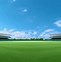 Image result for Cricket Court Background
