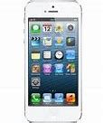 Image result for White Screen iPhone 5
