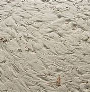 Image result for Beach Sand Texture