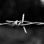 Image result for Barb Wire Fence